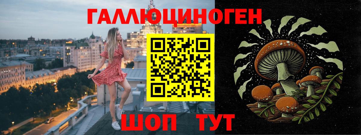 Верхняя Пышма  Галлюциногенные грибы GOLDEN TEACHER  Вход с VPN  Псилоцибиновые грибы Magic Shrooms 